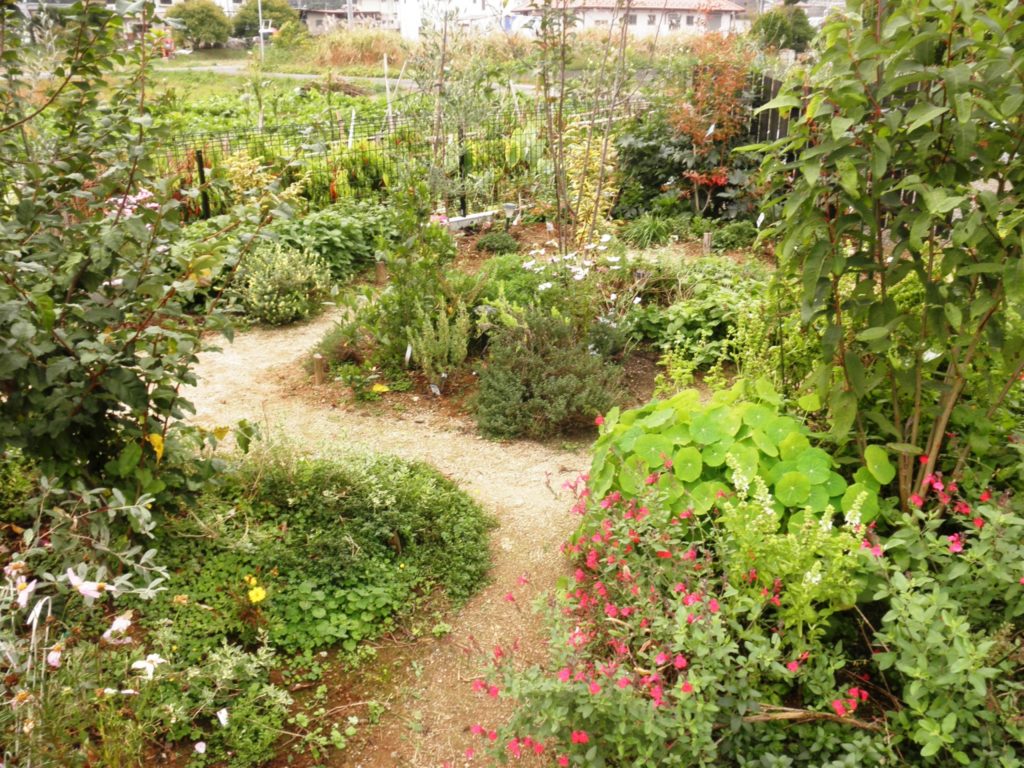 ガーデン造成　果樹をめぐる庭｜秩父郡横瀬町 O様邸の造成、植栽工事