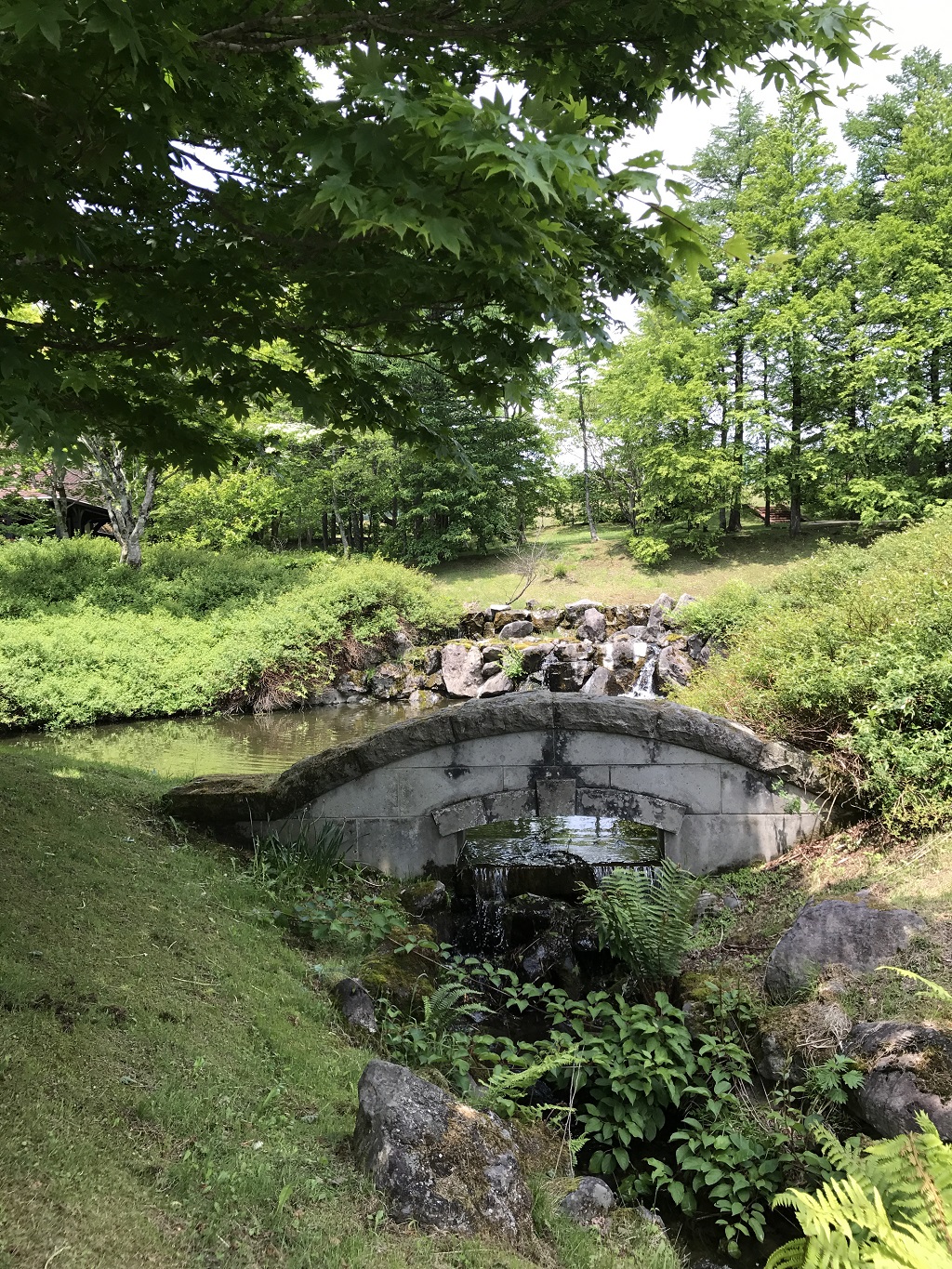 庭園や森の散策道