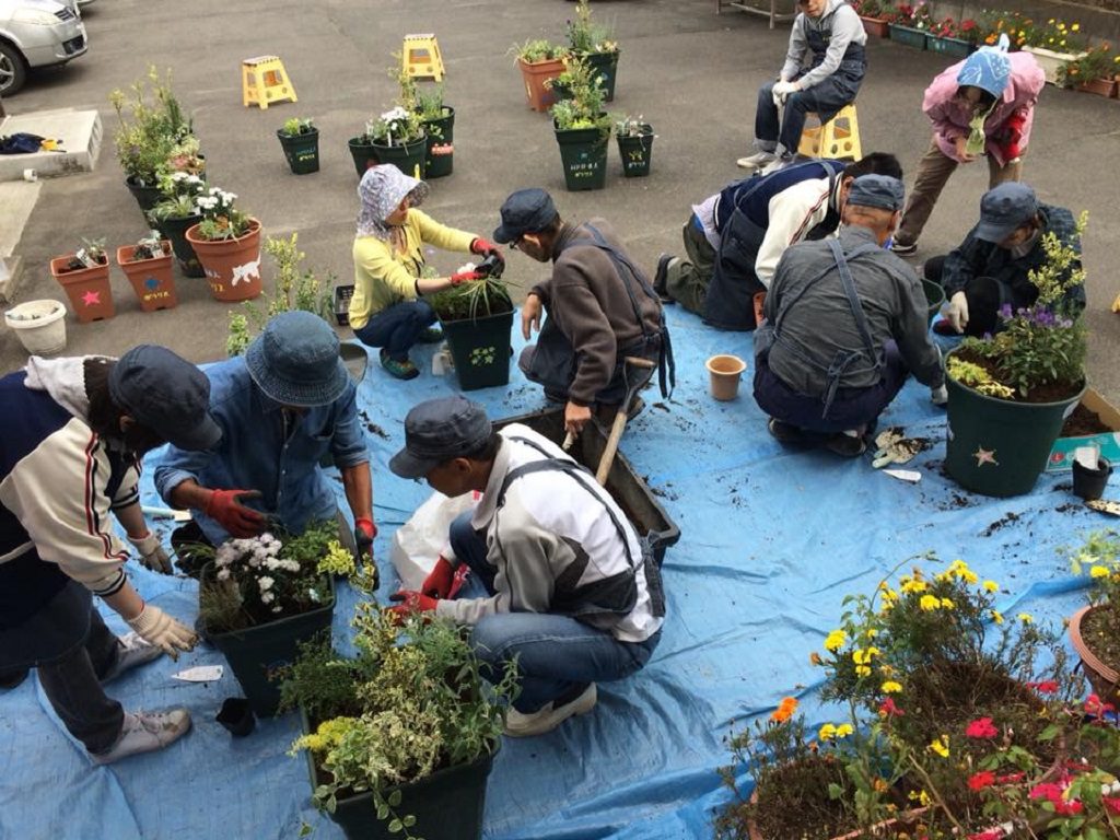 寄せ植えを作成中