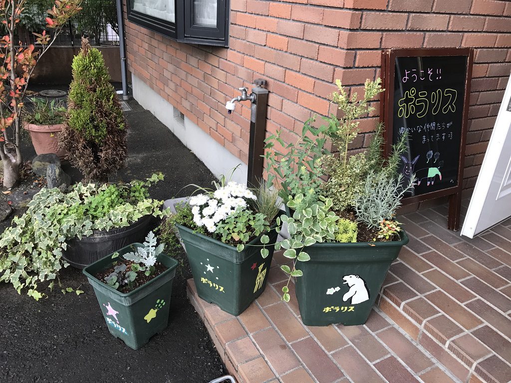 寄せ植え