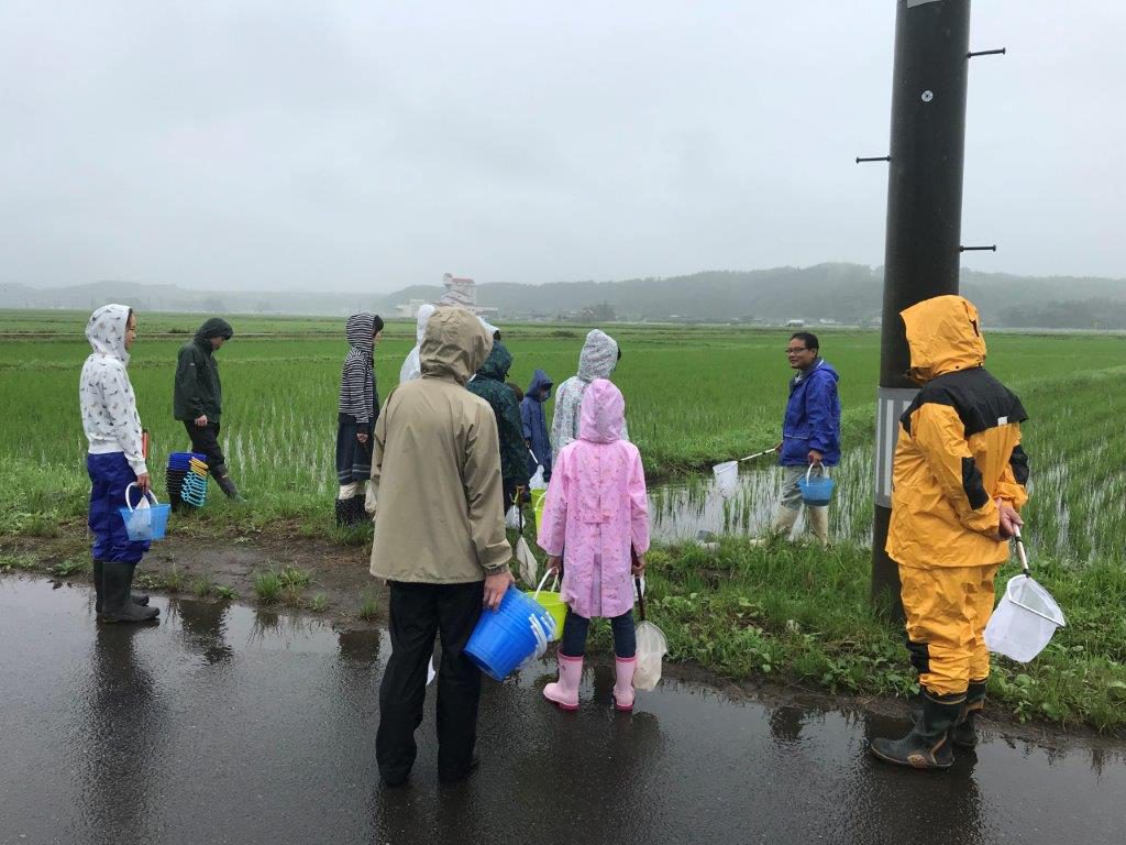 調査中の参加者