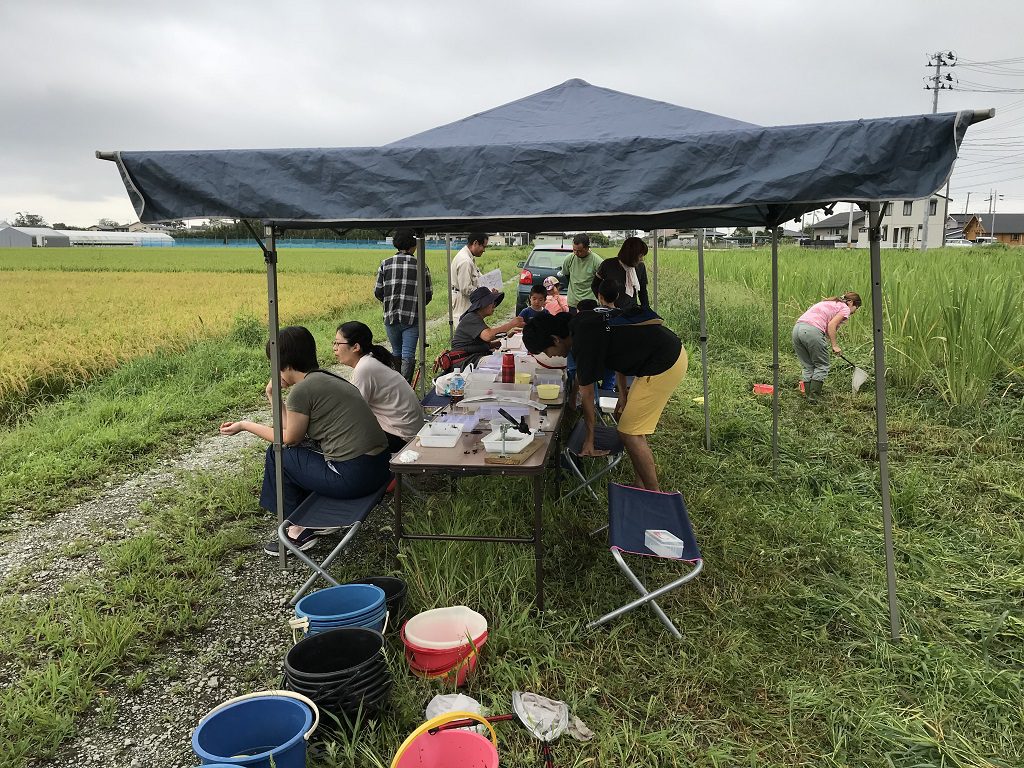 復興田んぼの生き物調査隊