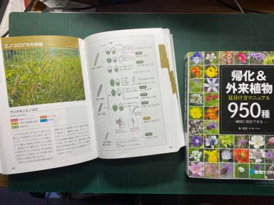帰化＆外来植物 見分け方マニュアル 950種類