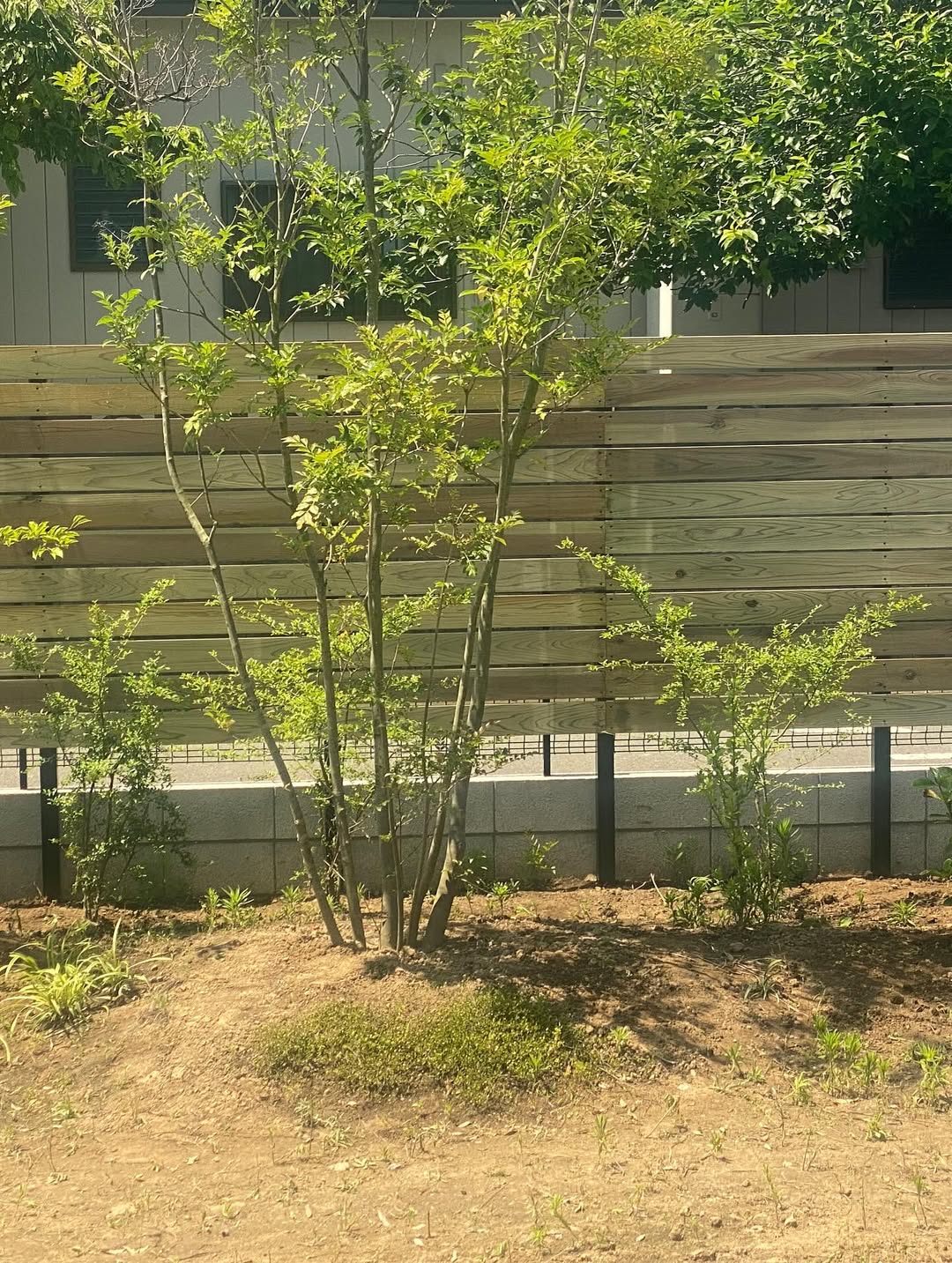 今日のしごと – 2025年6月18日